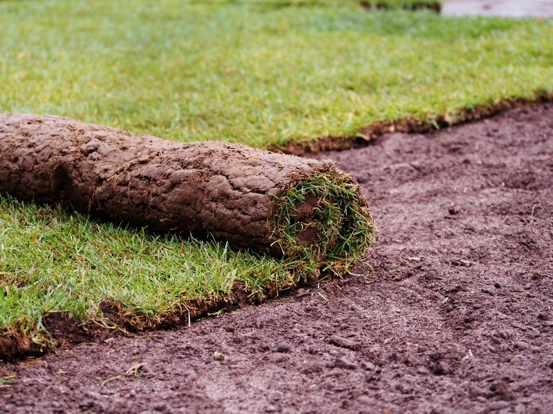 Garden Landscaping